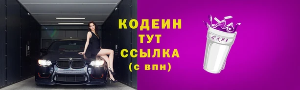 тгк Володарск