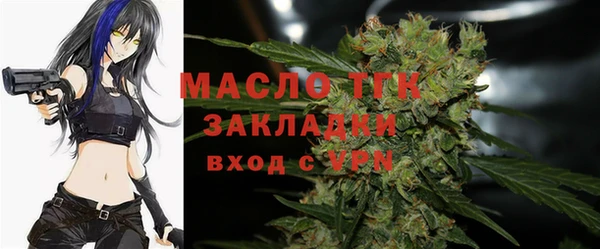 тгк Володарск