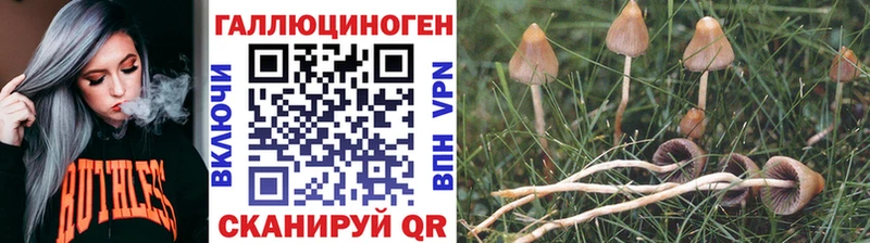 Псилоцибиновые грибы ЛСД  сколько стоит  Малоархангельск 