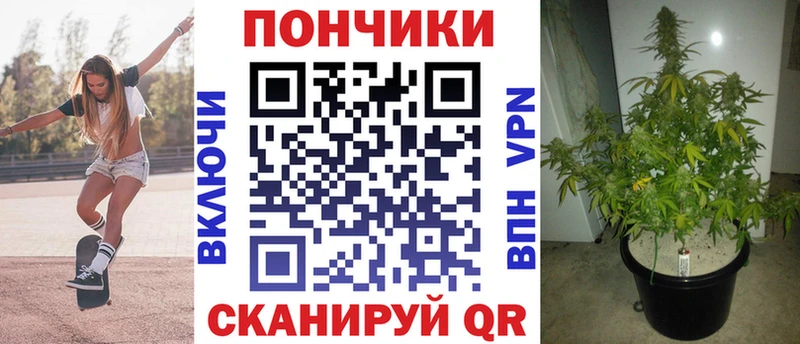Бошки Шишки конопля  Малоархангельск 